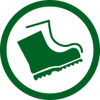 ICON ARA-02